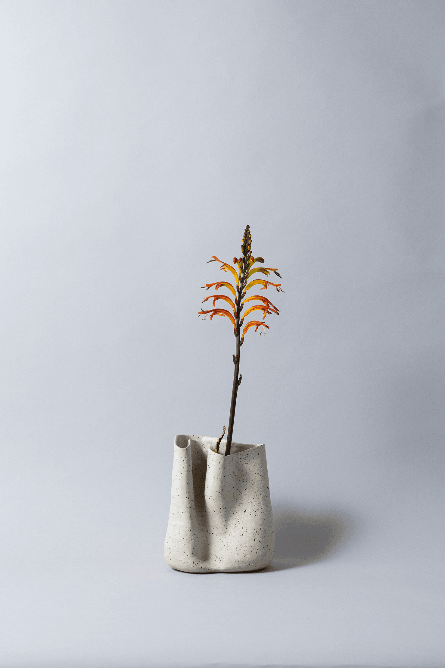 Exquisite vase photographed by Maria de la Croix for The Ode To magazine.
